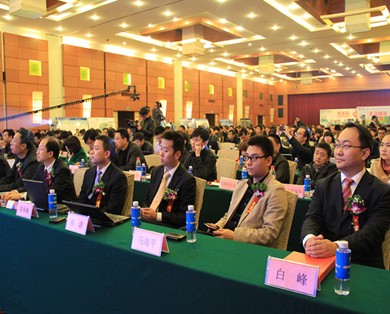 1435224744121334.jpg 9.jpg